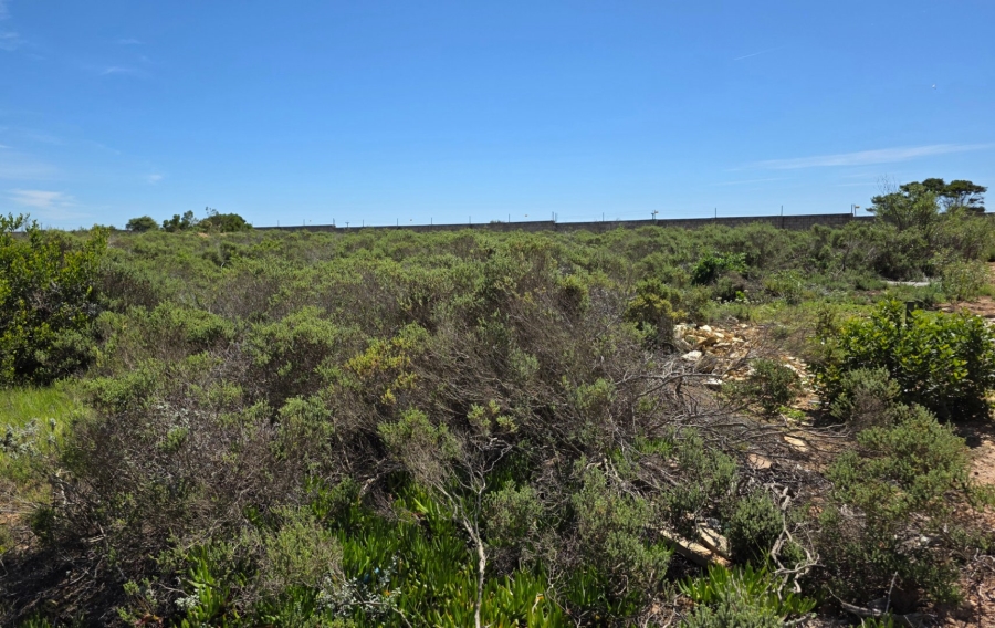 Commercial Property for Sale in N2 Industrial Park Western Cape